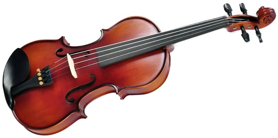 バイオリン 4/4 PVN344 PLAYTECH ( プレイテック ) PVN344 バイオリン 4/4 送料無料